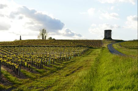 vignoble du Puy de Menjon
