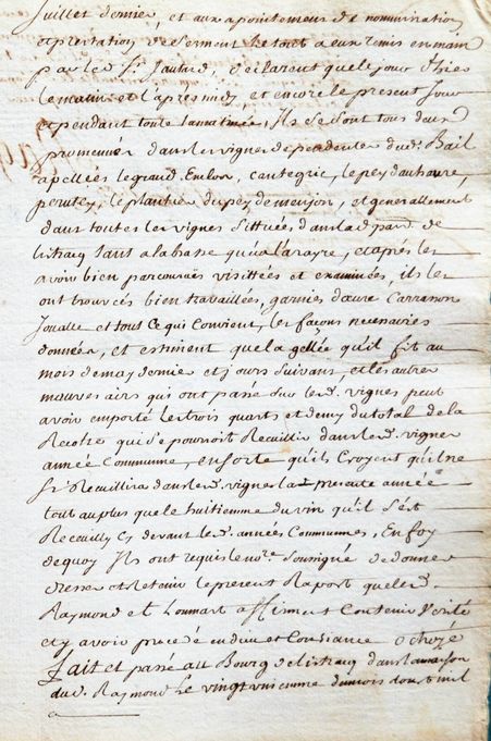 extrait de l'expertise des vignes de Lestage effectuée après la grande gelée de mai 1750, pendant le grand procès de la succession Motmans